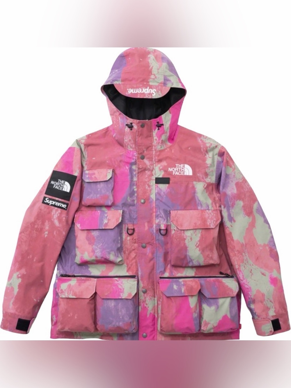 Supreme®/The North Face® Cargo Jacket